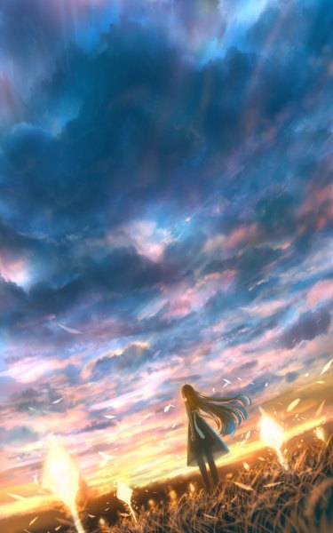 Anime picture 750x1200 with original bounin single long hair tall image brown hair standing cloud (clouds) wind from behind sunlight evening sunset glow see-through silhouette girl dress plant (plants) transparent clothing grass