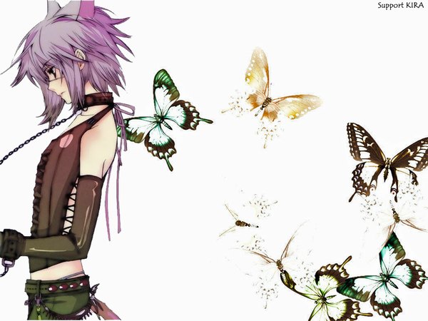 Anime picture 1024x768 with loveless j.c. staff aoyagi ritsuka animal ears cat ears insect butterfly