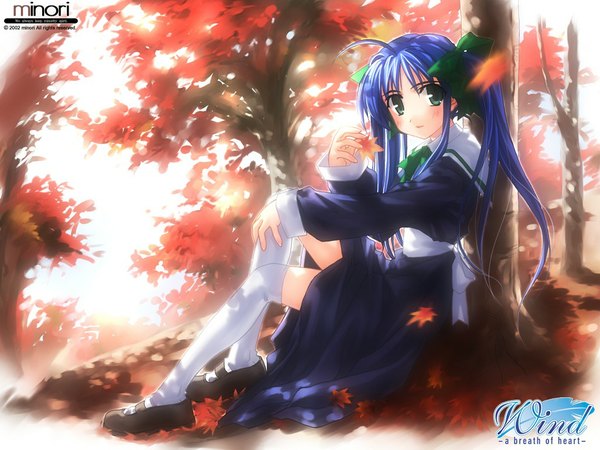 Anime picture 1024x768 with wind a breath of heart narukaze minamo twintails green eyes blue hair autumn thighhighs uniform plant (plants) school uniform tree (trees) leaf (leaves)