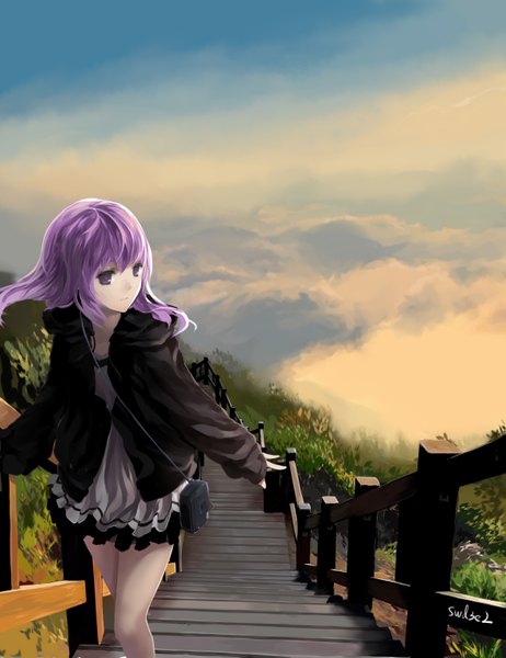 Anime picture 1181x1535 with elsword aisha landar swd3e2 single long hair tall image fringe looking away pink hair sky cloud (clouds) pink eyes light smile open clothes open jacket spread arms girl dress plant (plants) jacket