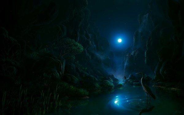 Anime picture 1680x1050 with original fel-x (artist) wide image wallpaper night sky no people landscape scenic river rock waterfall plant (plants) animal tree (trees) water bird (birds) star (stars) full moon crane (bird)