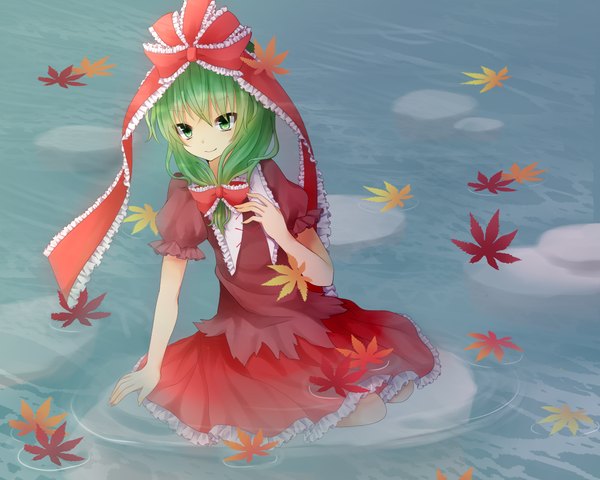 Anime picture 1000x800 with touhou kagiyama hina tochika (sakochi) single long hair green eyes green hair girl dress skirt bow ribbon (ribbons) hair bow hair ribbon water leaf (leaves) skirt set