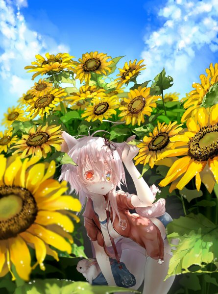 Anime picture 890x1200 with original didi amen tall image fringe short hair red eyes animal ears yellow eyes sky silver hair cloud (clouds) parted lips sunlight cat ears open clothes open jacket cat girl leaning leaning forward heterochromia