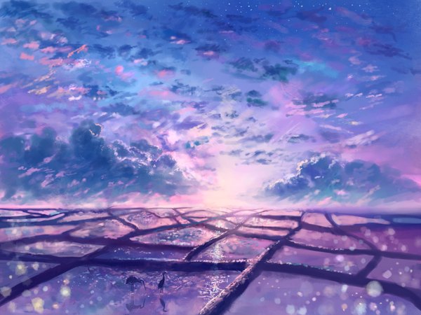 Anime picture 1600x1200 with original koocha hikari sky cloud (clouds) sunlight night night sky reflection no people sunrise animal water bird (birds) star (stars) sun rice paddy heron