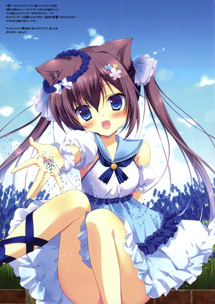 Anime picture 2340x3300 with miyasaka miyu single long hair tall image looking at viewer blush highres blue eyes black hair sitting twintails animal ears sky cloud (clouds) hair flower cat ears scan convenient leg girl dress
