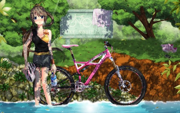 Anime picture 4000x2500 with natsu no ame miyazawa midori kantoku single long hair looking at viewer blush highres blue eyes brown hair wide image absurdres ponytail girl bow plant (plants) tree (trees) water bottle ground vehicle