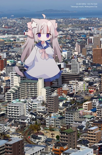 Anime picture 1058x1600 with original nakkar single long hair tall image blush fringe standing purple eyes twintails animal ears looking away sky silver hair ahoge tail blunt bangs long sleeves animal tail arm up