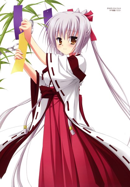 Anime picture 2584x3700 with karumaruka circle sasakura mirai kobuichi single long hair tall image looking at viewer blush highres simple background white background brown eyes silver hair ponytail traditional clothes scan miko tanabata girl bow