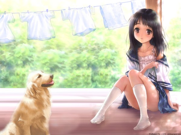 Anime picture 1600x1200 with goto p long hair black hair sitting brown eyes undressing girl uniform socks serafuku white socks dog