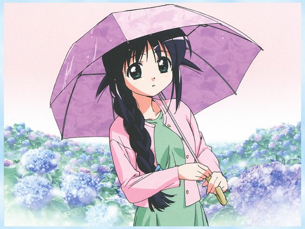 Anime picture 1024x768 with mahoromatic andou mahoro black hair green eyes braid (braids) wallpaper flower (flowers) umbrella cardigan garden