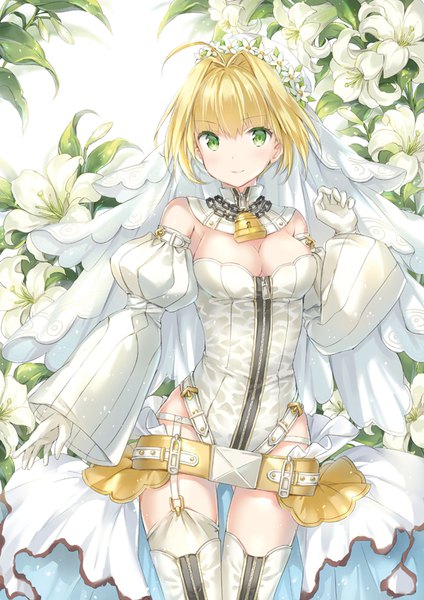 Аниме картинка 579x818 с fate (series) fate/extra fate/extra ccc nero claudius (fate) nero claudius (bride) (fate) wataame27 один (одна) высокое изображение смотрит на зрителя румянец чёлка короткие волосы грудь лёгкая эротика светлые волосы волосы между глазами стоя зелёные глаза декольте ахоге