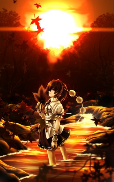 Anime picture 905x1444 with touhou shameimaru aya futami kito single tall image short hair brown hair brown eyes profile evening sunset girl dress hat water leaf (leaves) fan hauchiwa