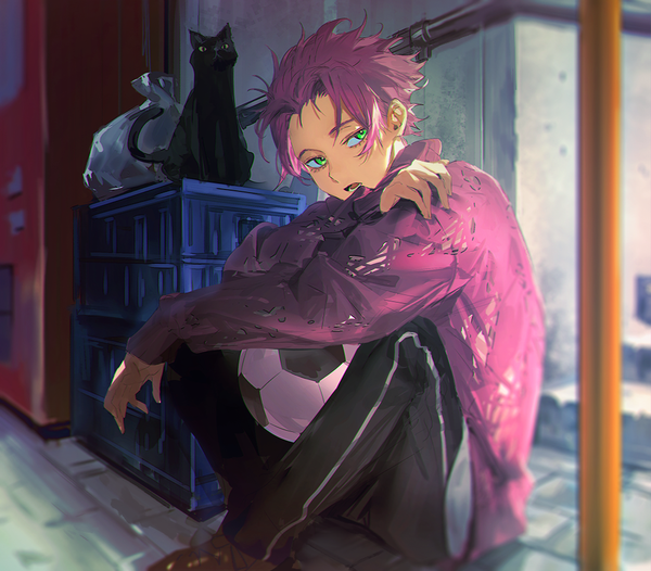 Anime picture 1000x877 with blue lock itoshi sae mm39572 single short hair sitting green eyes looking away pink hair outdoors spiked hair boy animal cat sweater ball soccer ball