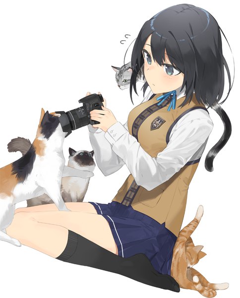 Anime picture 807x1000 with original hayashi kewi single tall image blush short hair black hair simple background white background sitting looking away full body aqua eyes no shoes wariza animal on shoulder girl uniform school uniform animal