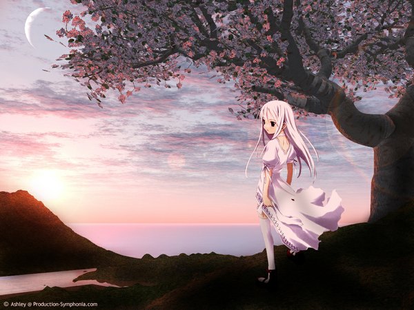 Anime picture 1024x768 with shinigami no ballad momo (shinigami no ballad) nanakusa single long hair standing payot looking away sky cloud (clouds) full body white hair wind black eyes short sleeves evening sunset horizon 3d girl