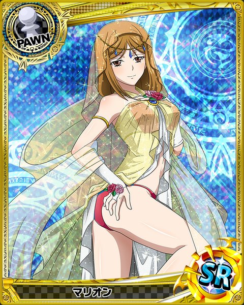 Anime picture 640x800 with highschool dxd marion (high school dxd) single long hair tall image looking at viewer light erotic brown hair brown eyes traditional clothes card (medium) girl swimsuit bikini transparent clothing arabian clothes