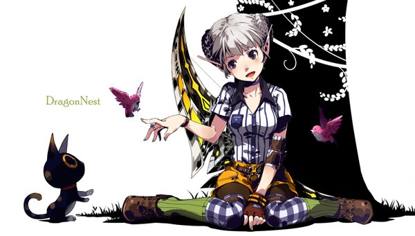 Anime picture 1500x853 with original cici single looking at viewer blush short hair open mouth wide image silver hair pointy ears black eyes girl gloves animal shirt shorts boots fingerless gloves bird (birds) cat