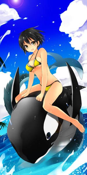 Anime picture 800x1600 with original kamiyoshi rika single tall image looking at viewer short hair breasts open mouth light erotic black hair brown eyes sky cloud (clouds) girl swimsuit bikini fish (fishes)