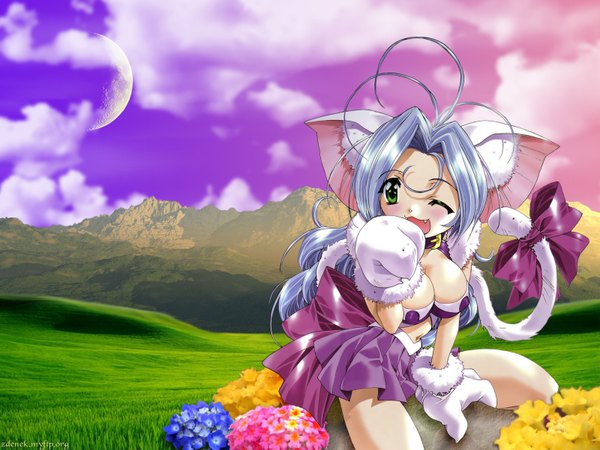 Anime picture 1600x1200 with ohno tetsuya light erotic animal ears cat girl girl tenshi ni narumon