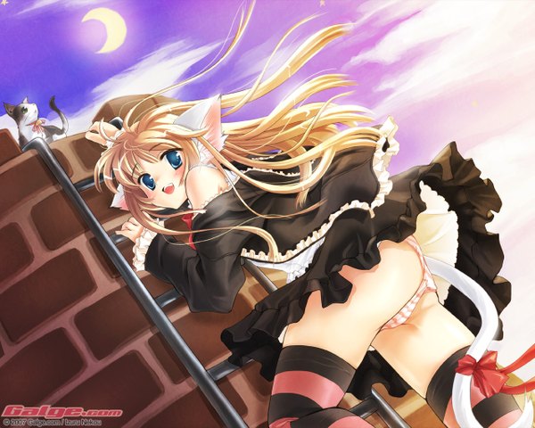 Anime picture 1280x1024 with galge.com light erotic animal ears girl skirt underwear panties