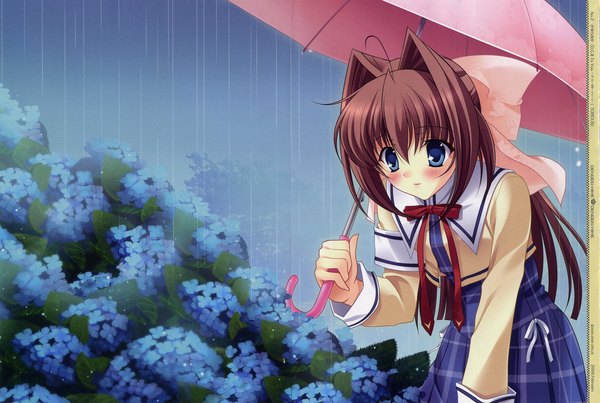 Anime picture 4117x2766 with da capo da capo ii asakura otome kayura yuka single long hair blush fringe highres blue eyes smile hair between eyes brown hair standing holding outdoors long sleeves scan leaning leaning forward