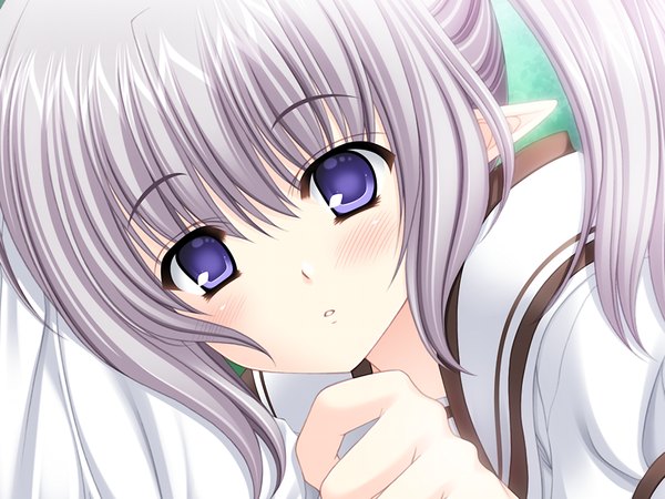 Anime picture 1024x768 with shuffle! primula single long hair blush purple eyes game cg pointy ears grey hair loli girl