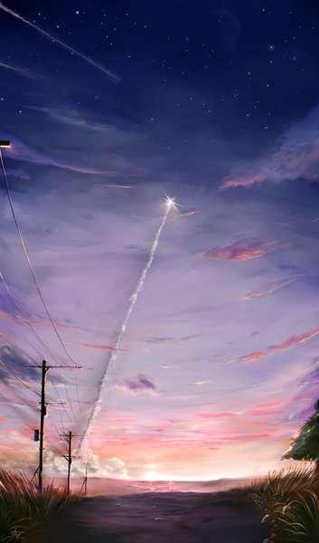 Anime picture 2480x4208 with original cowinsky tall image highres sky cloud (clouds) horizon no people landscape plant (plants) grass power lines rocket