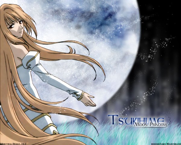 Anime picture 1280x1024 with shingetsutan tsukihime type-moon arcueid brunestud tagme