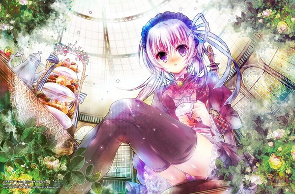 Anime picture 1827x1200 with sucre ibaragi ai long hair blush highres light erotic purple eyes purple hair pantyshot pantyshot sitting girl thighhighs flower (flowers) ribbon (ribbons) black thighhighs plant (plants) food sweets cake
