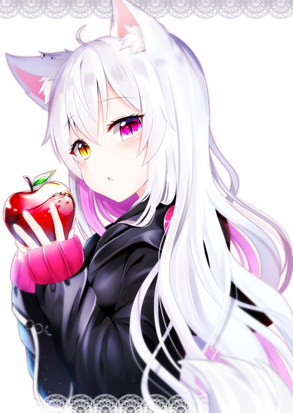 Anime picture 800x1126 with original shiira (nya rl) single long hair tall image looking at viewer blush fringe open mouth simple background hair between eyes white background holding animal ears yellow eyes ahoge white hair pink eyes multicolored hair two-tone hair