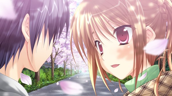 Anime picture 2560x1440 with yaneura no kanojo dp minase (artist) blush highres short hair open mouth black hair red eyes brown hair wide image game cg couple cherry blossoms girl boy plant (plants) petals tree (trees)
