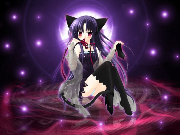Anime picture 1600x1200 with pure pure tobari sakurazawa izumi single long hair looking at viewer blush light erotic red eyes holding animal ears blue hair full body tail animal tail cat ears cat girl cat tail mouth hold third-party edit