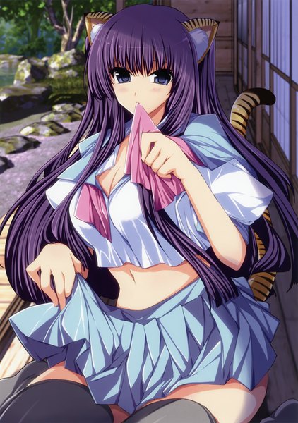 Anime picture 2159x3067 with original shinano yura single long hair tall image looking at viewer blush highres blue eyes holding animal ears purple hair tail animal tail cat ears scan cat girl cat tail mouth hold girl