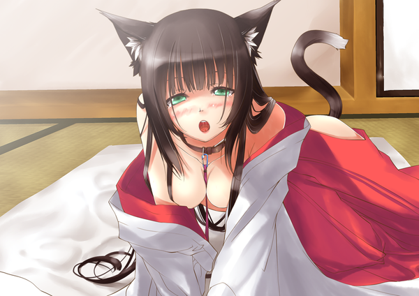Anime picture 1139x806 with original kyougoku touya single long hair looking at viewer blush breasts open mouth light erotic black hair green eyes animal ears japanese clothes cat ears cat tail miko girl tongue collar tatami