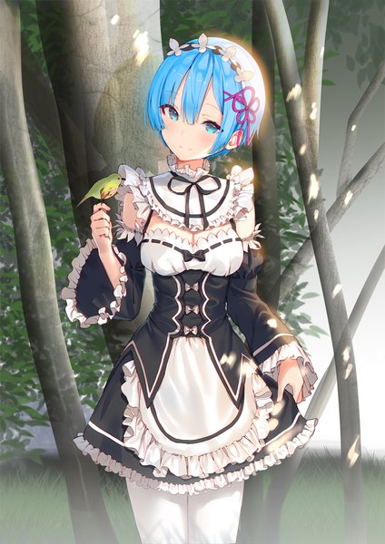 Anime picture 800x1131 with re:zero kara hajimeru isekai seikatsu white fox rem (re:zero) lloule single tall image looking at viewer blush fringe short hair breasts smile hair between eyes standing holding blue hair outdoors long sleeves head tilt aqua eyes