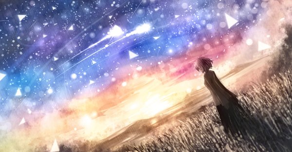Anime picture 1344x700 with original bounin single short hair brown hair wide image from behind back evening sunset scenic girl plant (plants) star (stars) grass