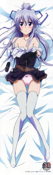 Anime picture 2328x7588 with campione! liliana kranjcar single long hair tall image looking at viewer blush highres blue eyes light erotic blue hair ponytail dakimakura (medium) girl thighhighs underwear panties white thighhighs