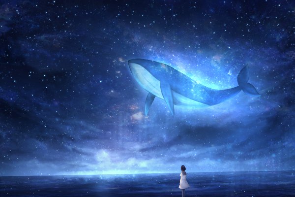 Anime picture 2400x1600 with original czy single highres short hair black hair standing cloud (clouds) wind from behind night night sky horizon landscape sailor collar girl dress animal white dress sea