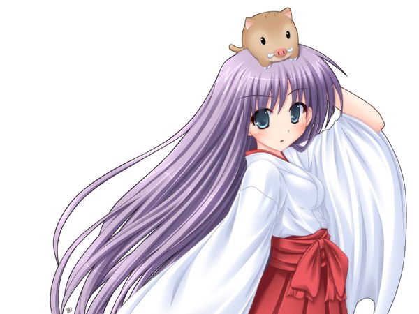 Anime picture 1600x1200 with original satomura izumi single long hair looking at viewer open mouth blue eyes white background purple hair traditional clothes japanese clothes arm up miko animal on head girl animal hakama boar