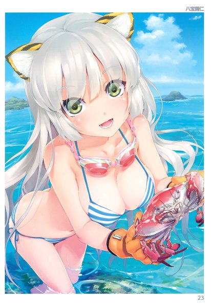 Anime picture 2080x3028 with comic toranoana happoubi jin single tall image looking at viewer blush fringe highres breasts open mouth light erotic smile large breasts bare shoulders holding green eyes animal ears sky silver hair cloud (clouds)