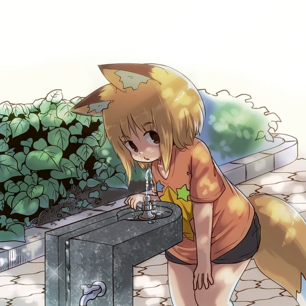 Anime picture 1280x1280 with original koko (yutturi) yutturi single looking at viewer short hair blonde hair brown eyes animal ears outdoors tail animal tail leaning leaning forward fox ears fox tail fox girl girl plant (plants) shorts