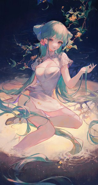 Anime picture 2490x4704 with vocaloid hatsune miku shaohua hatsune miku maccha (mochancc) single tall image looking at viewer highres light erotic sitting twintails brown eyes very long hair traditional clothes aqua hair bare legs partially submerged chinese clothes side slit yokozuwari