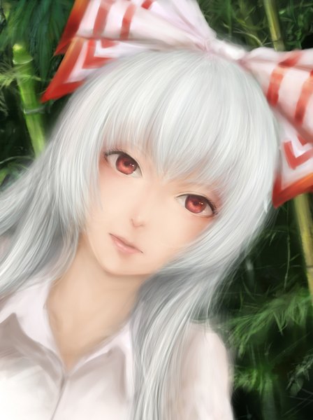 Anime picture 1196x1600 with touhou fujiwara no mokou moekyon single long hair tall image red eyes silver hair lips realistic portrait face girl bow plant (plants) hair bow shirt