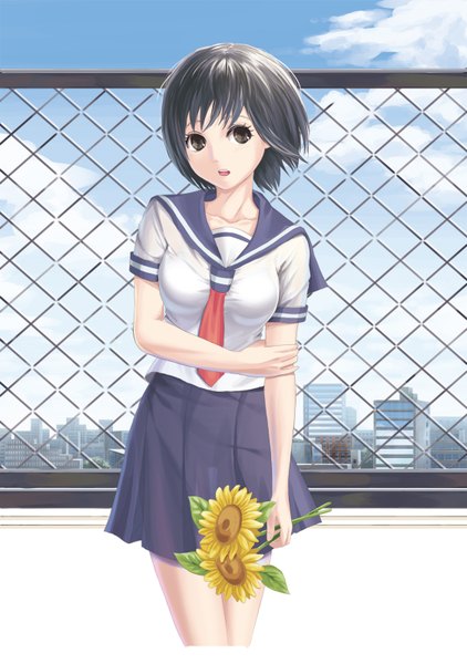 Anime picture 1126x1600 with original yamadata single tall image short hair open mouth light erotic black hair cloud (clouds) black eyes holding arm girl skirt flower (flowers) miniskirt serafuku transparent clothing fence sunflower chain-link fence