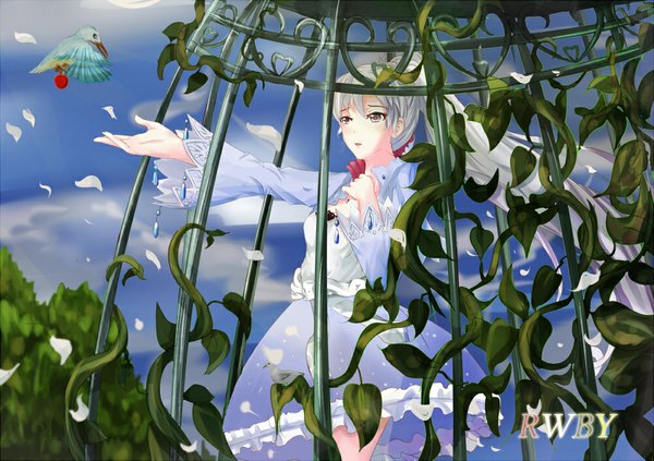 Anime picture 1000x706 with rwby rooster teeth weiss schnee white crow single long hair open mouth looking away sky cloud (clouds) white hair ponytail black eyes outstretched arm sad girl dress hair ornament plant (plants) animal