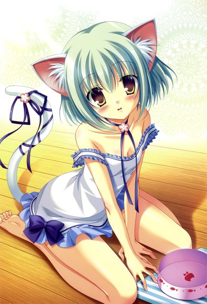 Anime picture 2646x3883 with tanihara natsuki tall image blush highres short hair animal ears yellow eyes absurdres green hair cat ears cat girl cat tail loli kneeling girl bow sundress