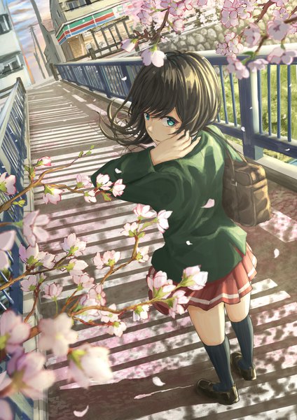 Anime-Bild 1240x1754 mit original sugi87 single long hair tall image looking at viewer fringe black hair hair between eyes sky cloud (clouds) outdoors pleated skirt looking back aqua eyes from above wind shadow cherry blossoms city