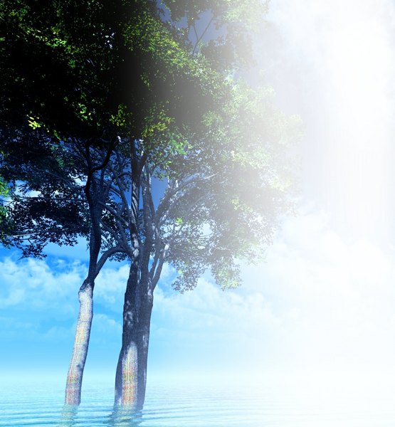 Anime-Bild 1000x1080 mit original y-k tall image sky cloud (clouds) reflection horizon no people plant (plants) tree (trees) water