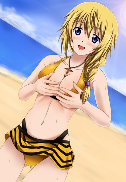 Anime picture 800x1156 with infinite stratos 8bit charles dunois fuuma nagi single long hair tall image blush breasts open mouth light erotic blonde hair purple eyes sky cloud (clouds) braid (braids) beach girl navel swimsuit
