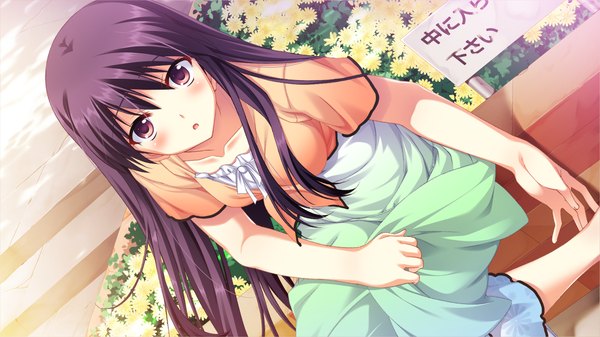 Anime picture 1280x720 with tojita sekai no tori colony single long hair looking at viewer blush open mouth red eyes wide image game cg purple hair girl dress
